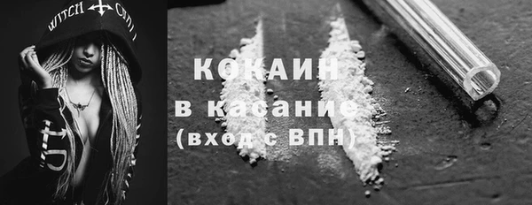 гашик Верея