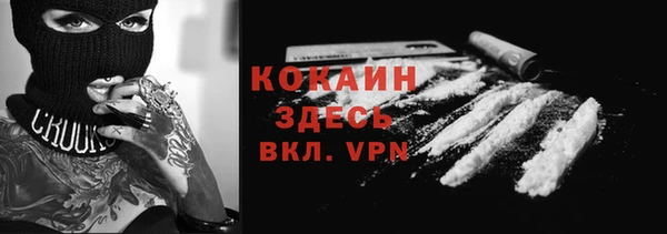гашик Верея