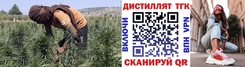 hydra вход  Буй  Дистиллят ТГК гашишное масло 