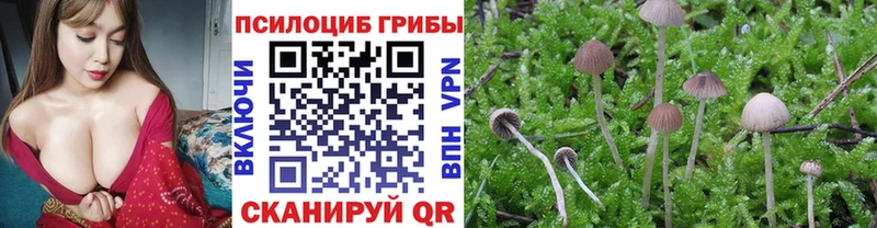 Псилоцибиновые грибы прущие грибы  дарнет шоп  Буй 